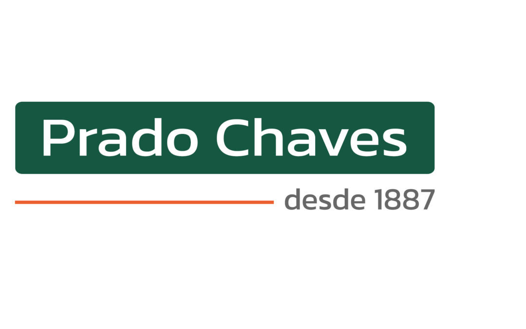 Prado Chaves é a nova Associada ABEINFO