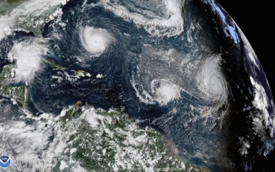 IBM apresenta software de inteligência ambiental impulsionado por IA para ajudar as empresas a abordar as metas de sustentabilidade e risco climático