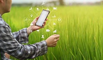 Inovação no campo: o poder da Inteligência Artificial no agronegócio